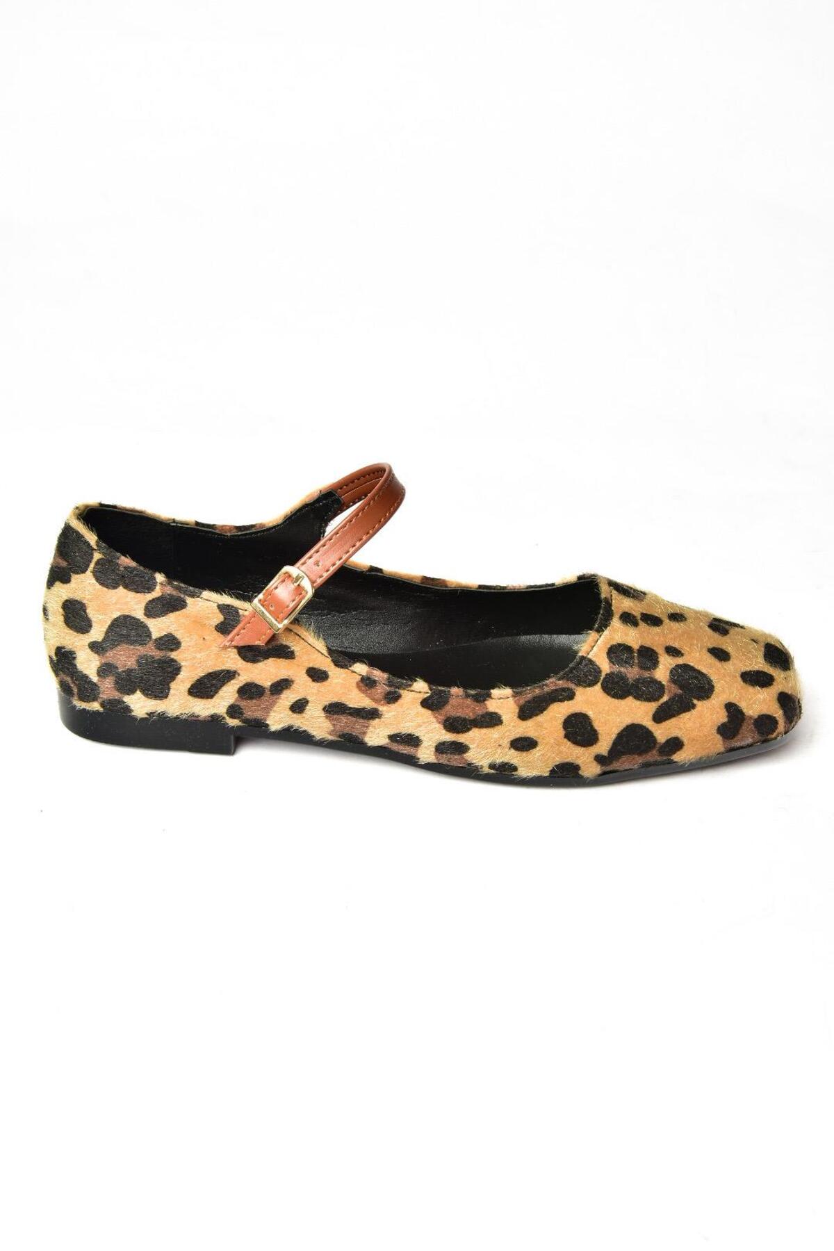 کالج زنانه fox-shoes