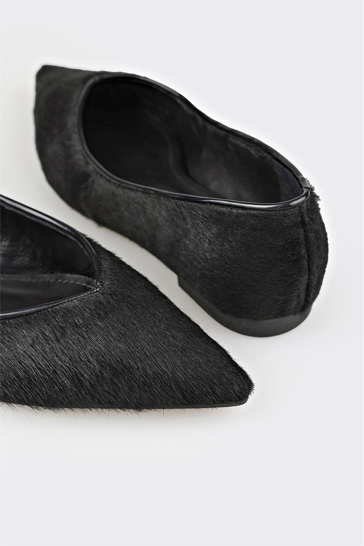 کالج زنانه اله elle